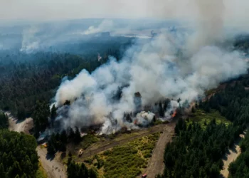 Excursionista perdido es multado con $300,000 tras provocar incendio forestal en Arizona