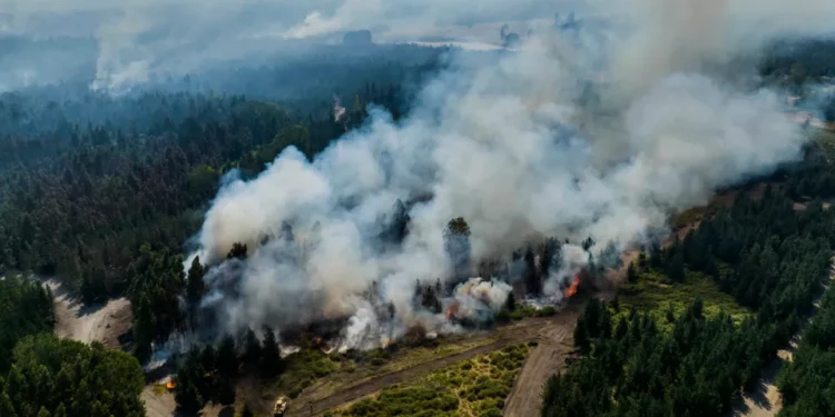 Excursionista perdido es multado con $300,000 tras provocar incendio forestal en Arizona