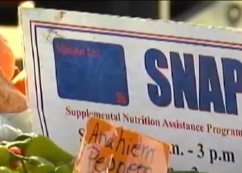 Un proyecto de ley ampliaría las prestaciones del SNAP en Rhode Island