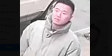 Hombre grave tras ser apuñalado durante pelea en calle de Nueva York