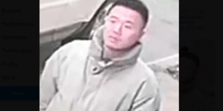 Hombre grave tras ser apuñalado durante pelea en calle de Nueva York