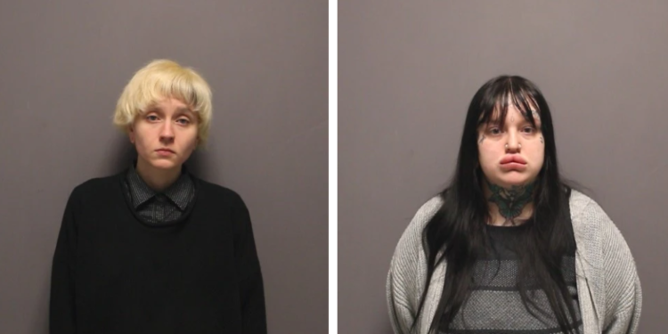 2 acusadas después de encontrar 20 conejos rescatados en una casa Cranston