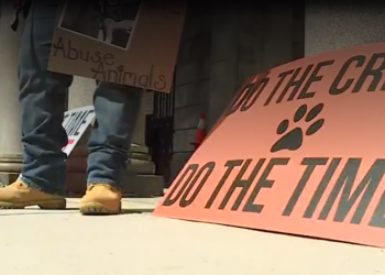 Un hombre de East Greenwich se enfrenta a cargos de asalto y crueldad animal