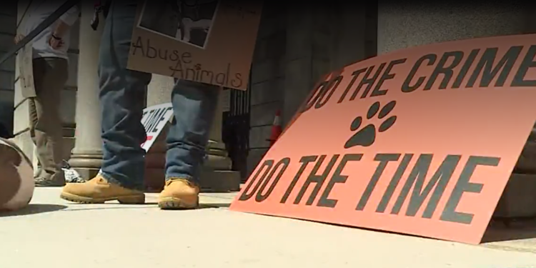 Un hombre de East Greenwich se enfrenta a cargos de asalto y crueldad animal