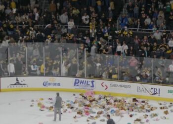 Lanzamiento de osos de peluche de los P-Bruins recauda fondos para el Hospital Infantil Hasbro