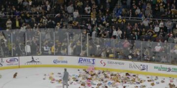 Lanzamiento de osos de peluche de los P-Bruins recauda fondos para el Hospital Infantil Hasbro