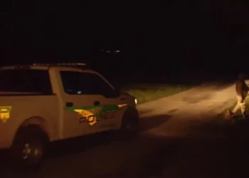 Se reportan bajas después de que helicópteros del Ejército se estrellaran en Kentucky