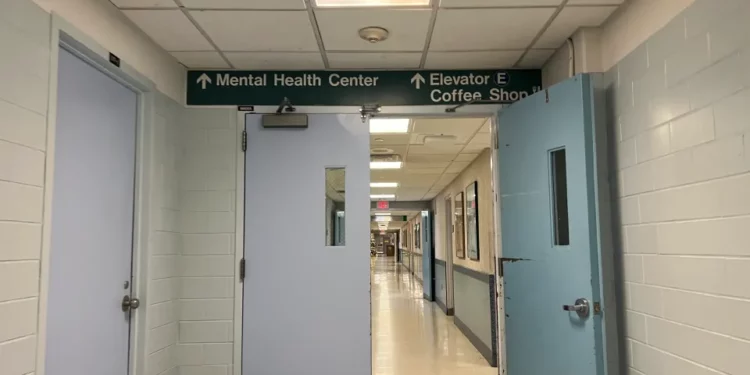 Concejo Municipal lanza ofensiva para enfrentar crisis de salud mental en NYC con fondos y leyes