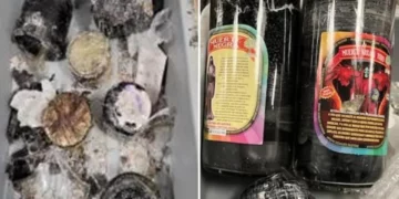 Viajó de México a Nueva York con droga fentanilo “pura” escondida en velas: arresto en aeropuerto JFK