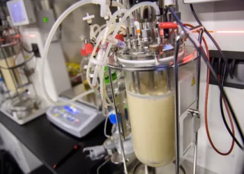 Carne cultivada en laboratorio podría venderse en Estados Unidos muy pronto