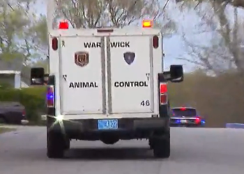 2 acusados de causar temor por «coyotes» en Warwick