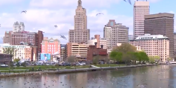 ¿Qué pasa con todas las gaviotas en el centro de Providence?