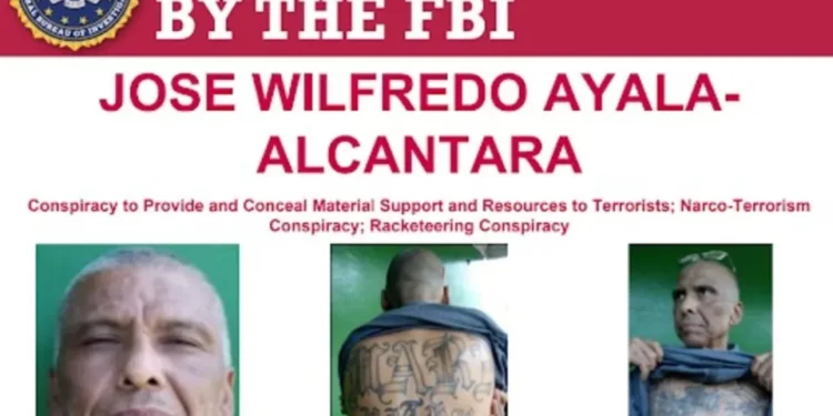 Líder de la MS-13, alias el Indio de Hollywood, fue capturado y será juzgado en Nueva York por terrorismo