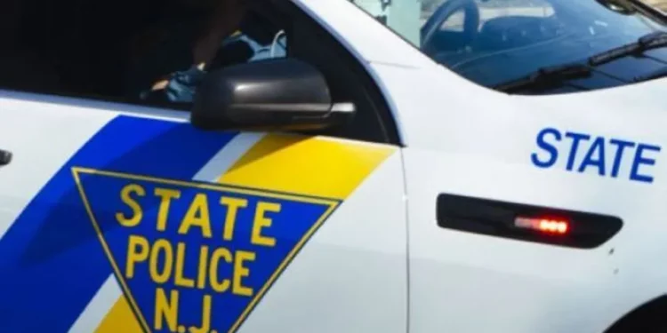 Horrible hallazgo: más de 40 perros y gatos muertos en un camión estacionado en centro comercial de NJ; mujer detenida