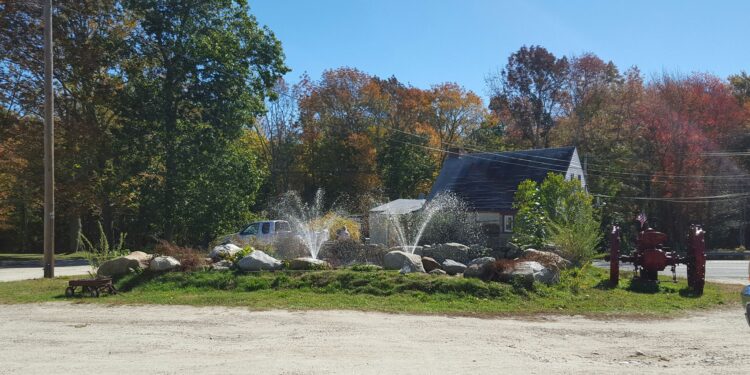 Hombre acusado de envenenar a más de 50 peces en posada de Foster