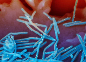 Los asesores de la FDA respaldan la vacuna contra el VRS para embarazadas que protege a sus recién nacidos