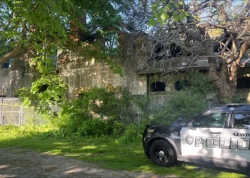 Se derrumba una estructura de piedra en un parque de Newport