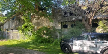 Se derrumba una estructura de piedra en un parque de Newport