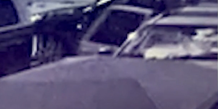 Un hombre de Providence se defiende de los ladrones de catalizadores