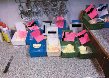 Mujer acusada de dirigir una clínica dental ilegal