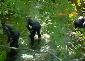 El sospechoso del asesinato de Mansfield se declara inocente; la policía busca en un río cercano