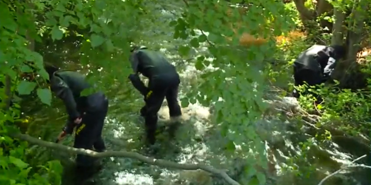 El sospechoso del asesinato de Mansfield se declara inocente; la policía busca en un río cercano