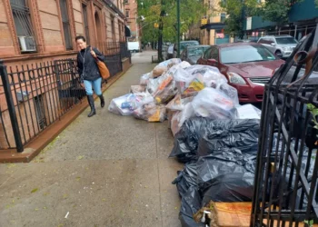 Alcaldía presenta los siguientes pasos del plan para combatir las ratas en las calles de Nueva York