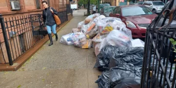 Alcaldía presenta los siguientes pasos del plan para combatir las ratas en las calles de Nueva York