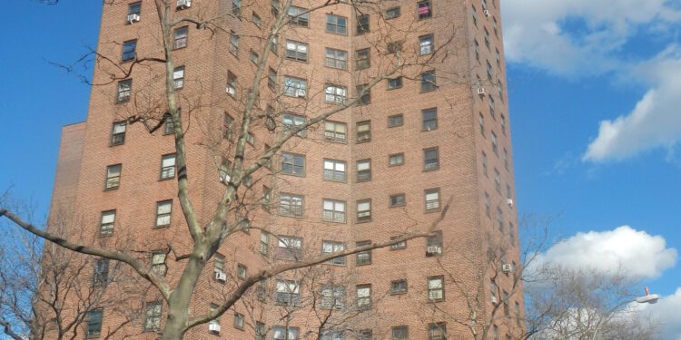 Pareja acusada de descuido infantil tras hallar dos niñas en condiciones precarias en El Bronx