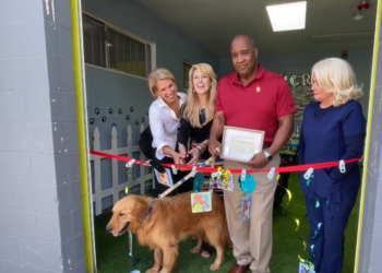 Los perros rescatados del comercio de carne en China llegan a California