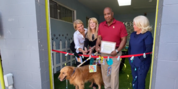 Los perros rescatados del comercio de carne en China llegan a California