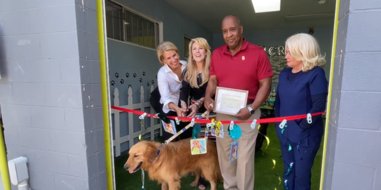 Los perros rescatados del comercio de carne en China llegan a California