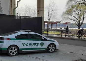 ¿Cómo combatir el calor en una ciudad tan congestionada como Nueva York?