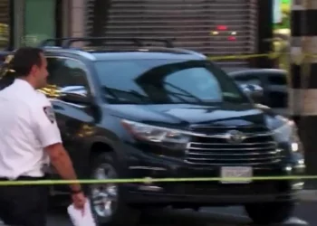 Niña de 5 años fue hospitalizada tras recibir disparo en la espalda mientras estaba en un vehículo en El Bronx