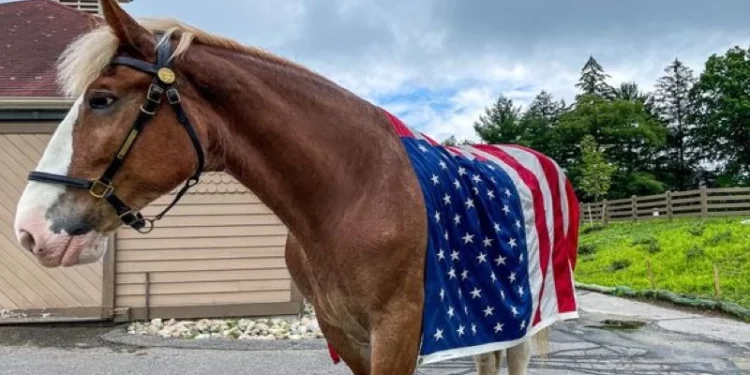Fallece el Clydesdale de la policía de Providence