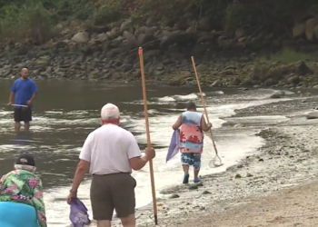 Los veteranos de RI pasan un día de diversión en un evento gratuito de quahogging