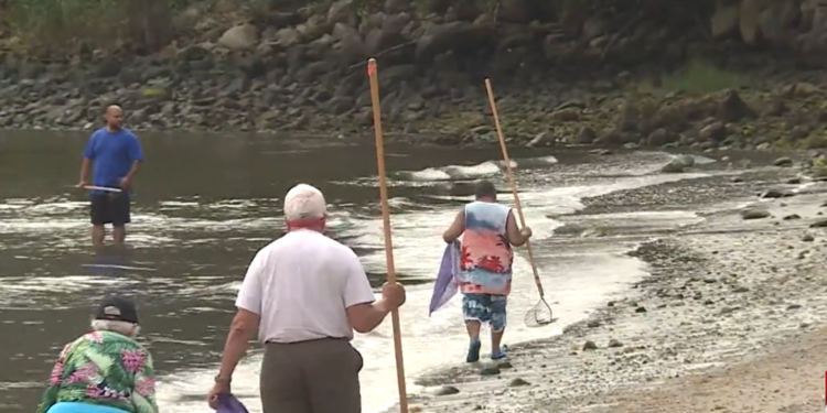 Los veteranos de RI pasan un día de diversión en un evento gratuito de quahogging