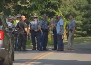 Muere un hombre en New Bedford tras un tiroteo en un parque estatal de Massachusetts