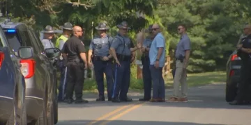 Muere un hombre en New Bedford tras un tiroteo en un parque estatal de Massachusetts
