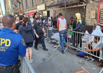 Estudiantes de universidades de NYC ayudarán a migrantes a enviar sus solicitudes de asilo: El trámite es largo y complicado