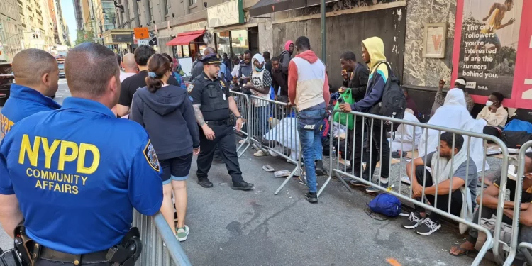 Estudiantes de universidades de NYC ayudarán a migrantes a enviar sus solicitudes de asilo: El trámite es largo y complicado