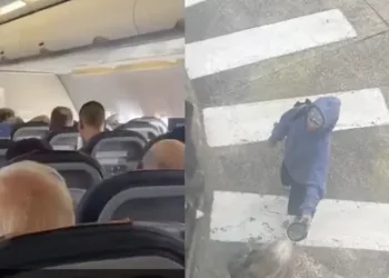 Billie Eilish fue captada viajando en un vuelo de clase económica