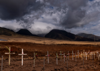 Maui ha dado a conocer los nombres de las 388 personas que siguen desaparecidas tras el mortífero incendio forestal