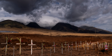 Maui ha dado a conocer los nombres de las 388 personas que siguen desaparecidas tras el mortífero incendio forestal