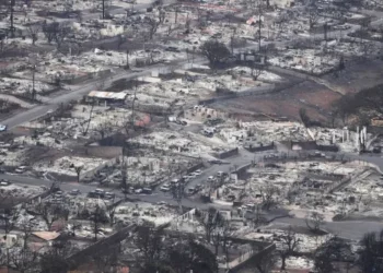 Identificar a las víctimas de los incendios forestales de Maui será una tarea ardua