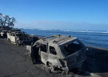 Aumenta a 80 el número de muertos en los incendios forestales de Maui