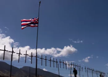 Se insta a las familias de las personas desaparecidas tras los mortíferos incendios a que faciliten muestras de ADN