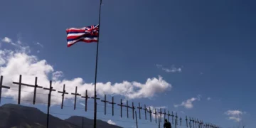 Se insta a las familias de las personas desaparecidas tras los mortíferos incendios a que faciliten muestras de ADN