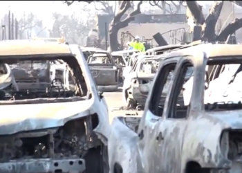 Una mujer de Massachusetts busca a un familiar desaparecido tras los incendios de Maui