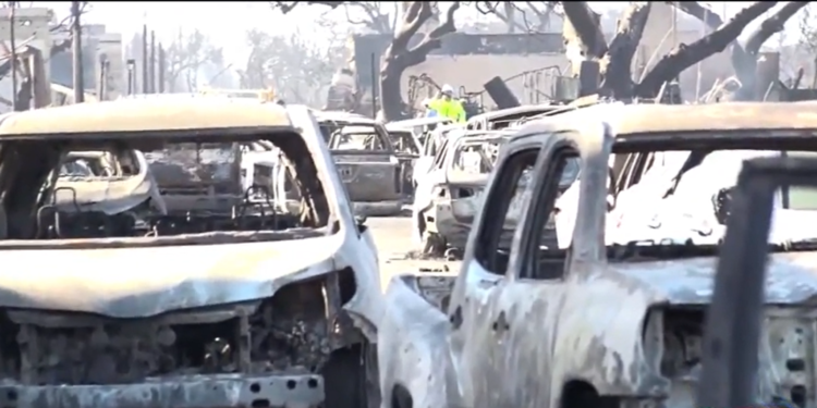 Una mujer de Massachusetts busca a un familiar desaparecido tras los incendios de Maui